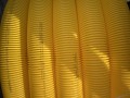 IMG_5682.jpg